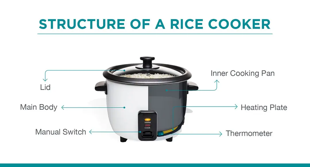 Structure of a Rice Cooker
