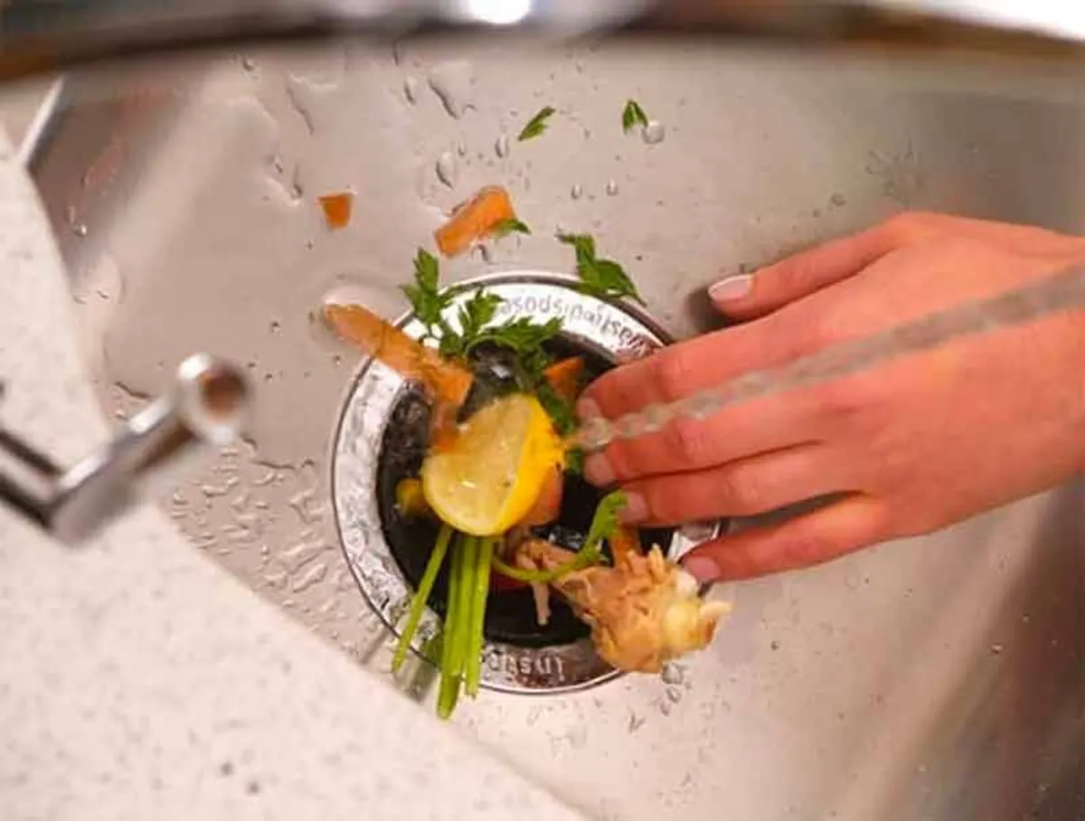 Garbage Disposal Issues