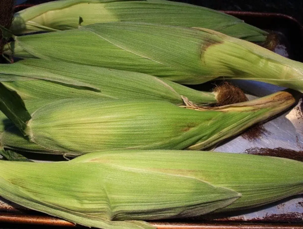 How To Freeze Corn on the Cob in the Husk