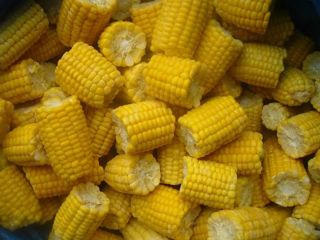 How To Freeze Corn on the Cob