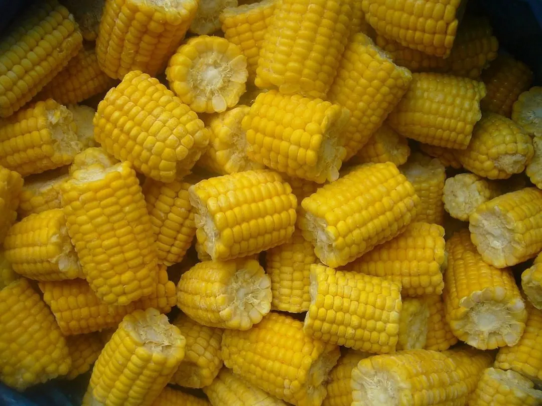 How To Freeze Corn on the Cob