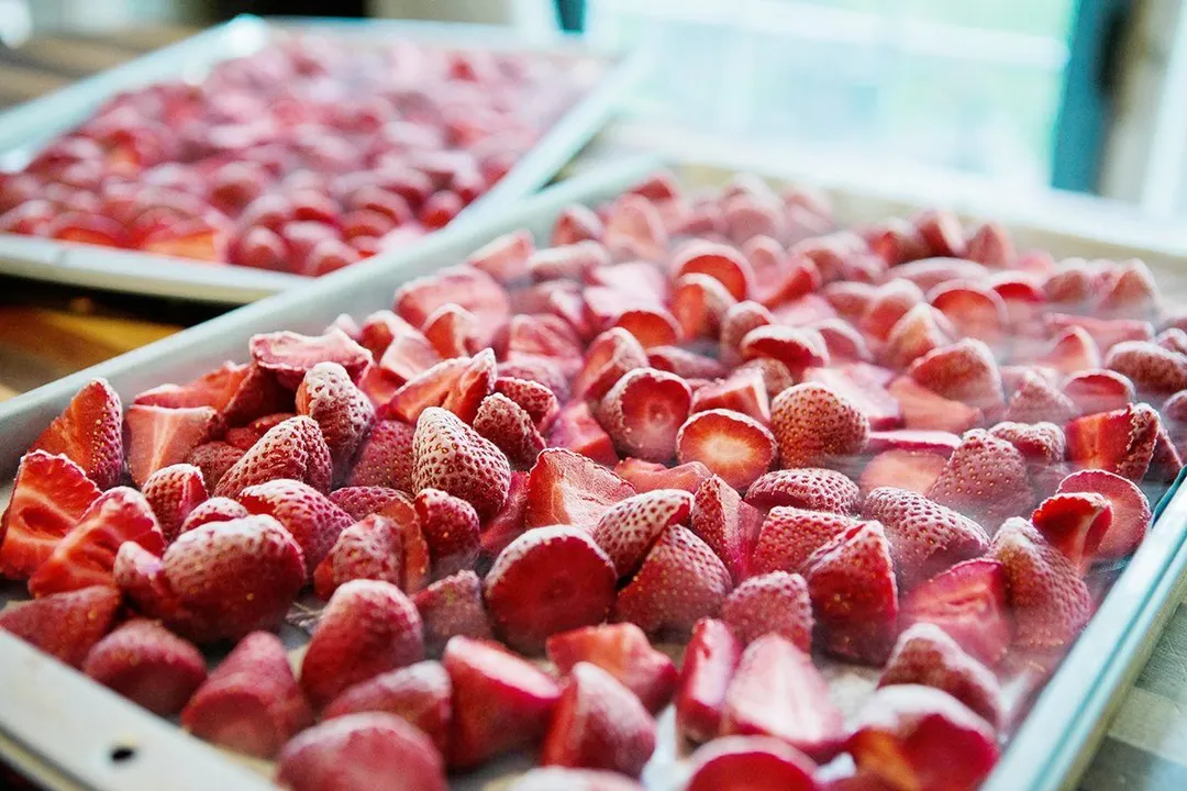 Freezing Sliced Crushed or Pureed Strawberries
