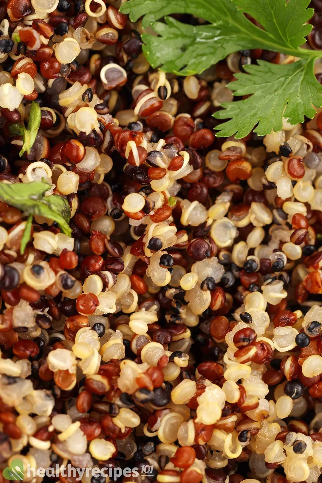 How To Cook Quinoa in Instant Pot Recipe