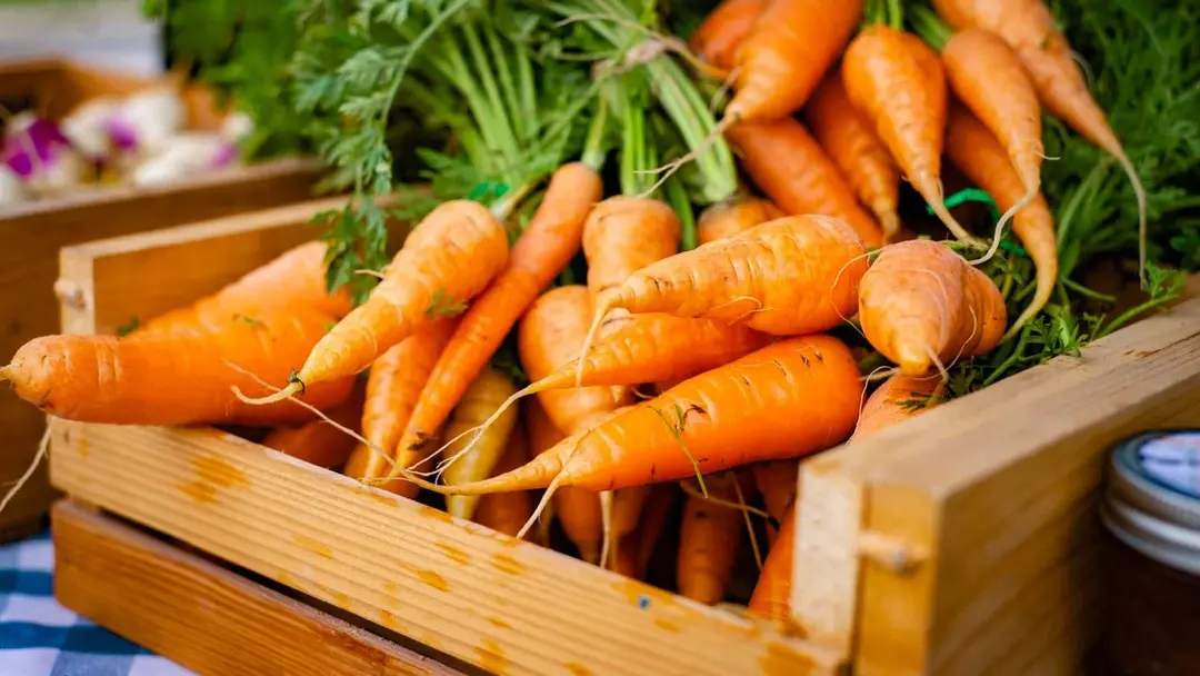 Carrots and Storage Temperature