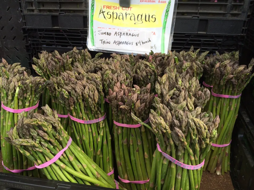 How to Choose the Best Asparagus Stalks for Storage