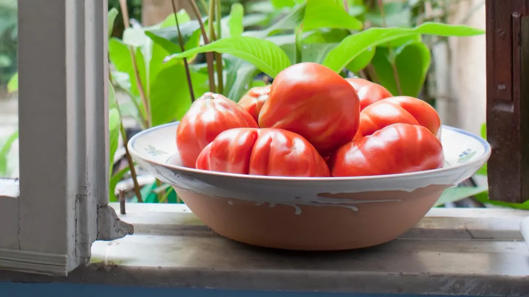 The Best Ways to Store Tomatoes