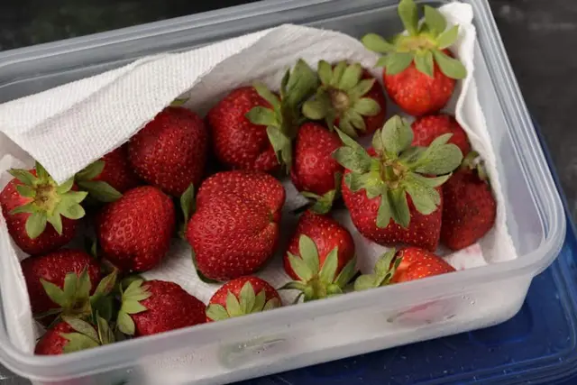 how to store strawberries In the Refrigerating
