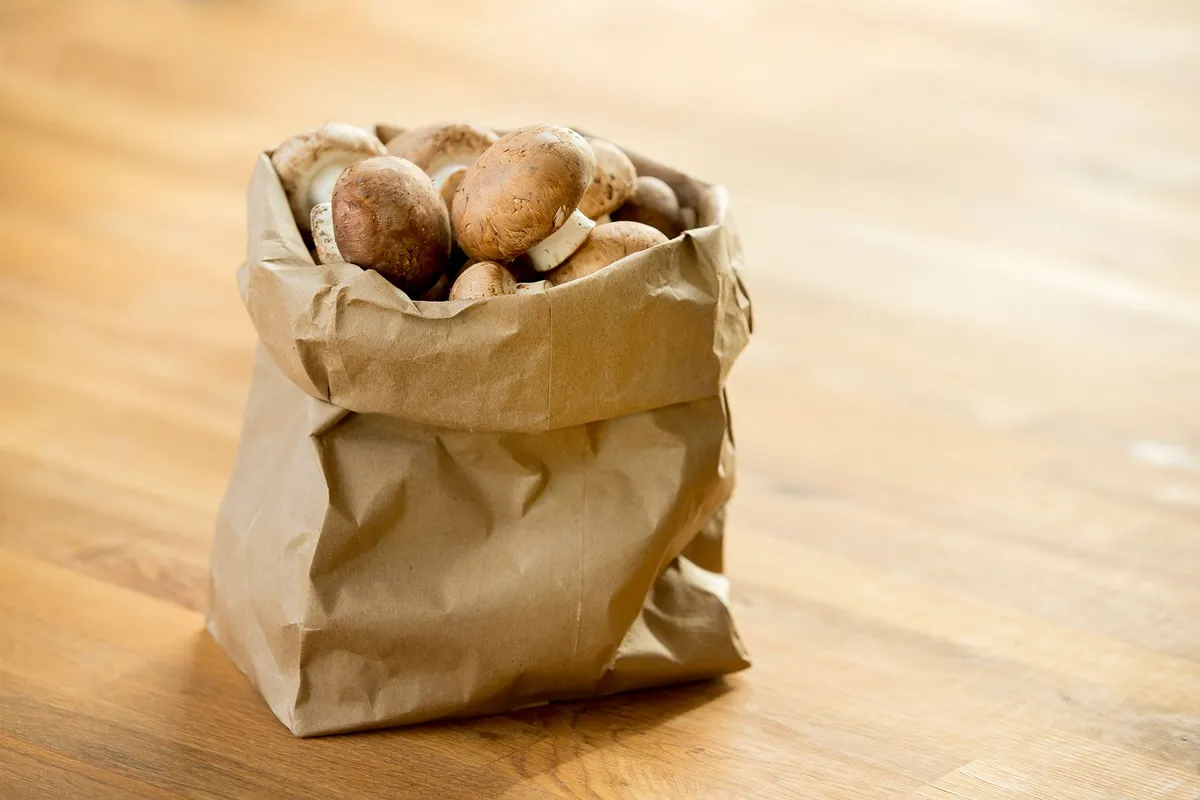store mushrooms using a paper bag