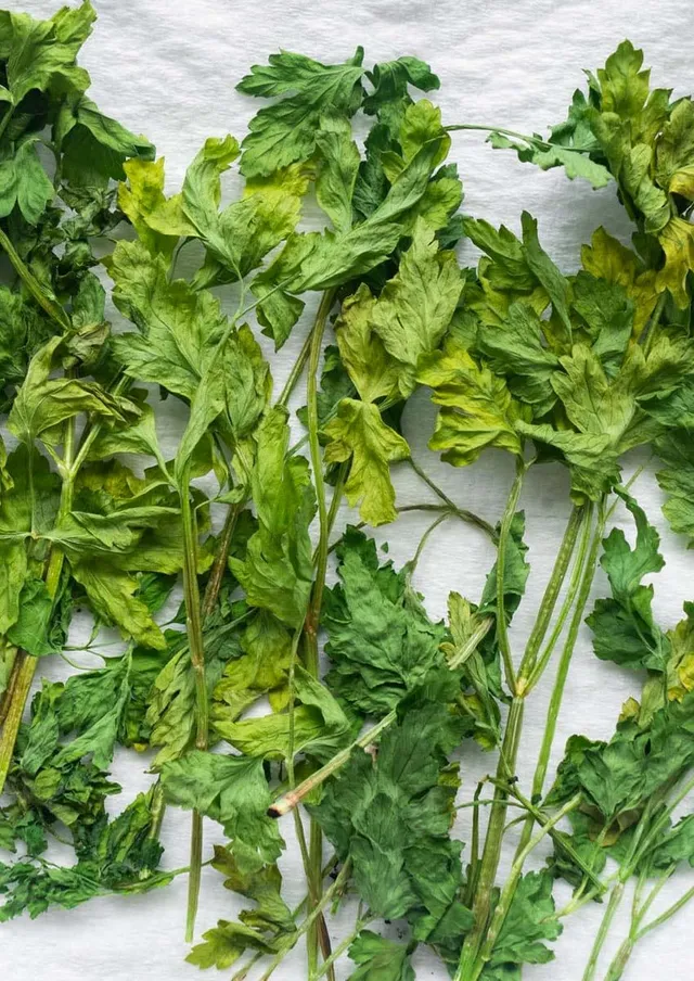 How Do You Dry Parsley in the microwave