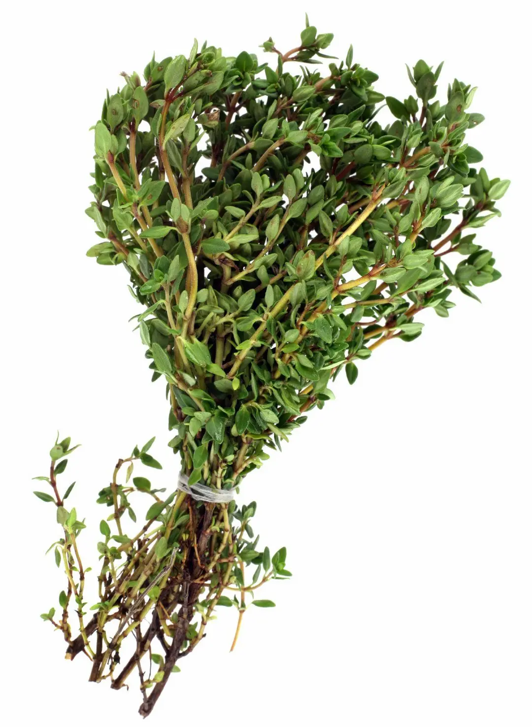 How to Air Dry Thyme Naturally