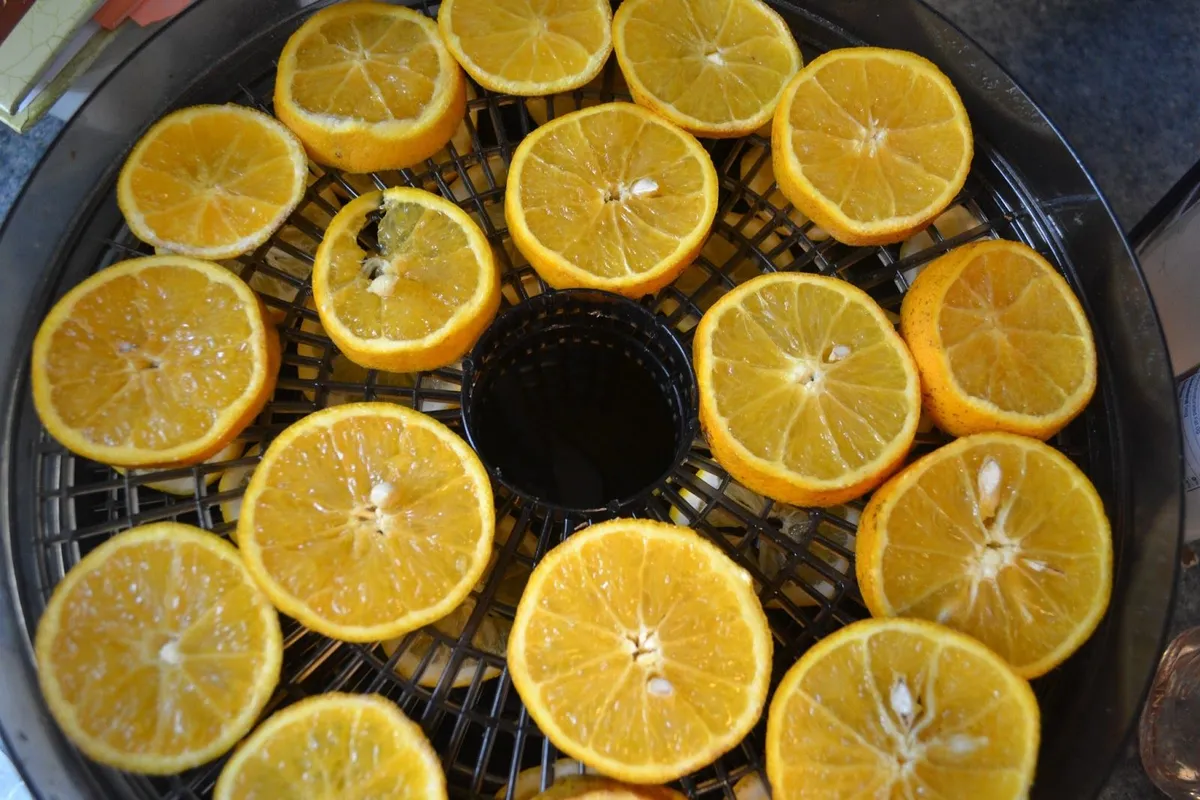 How to Dry Orange Slices in the Food Dehydrator