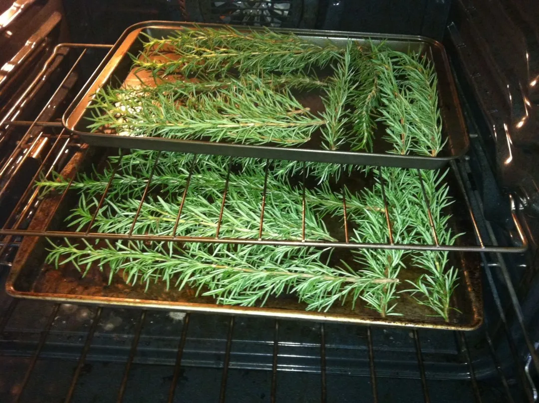 How to Dry Rosemary in the Oven