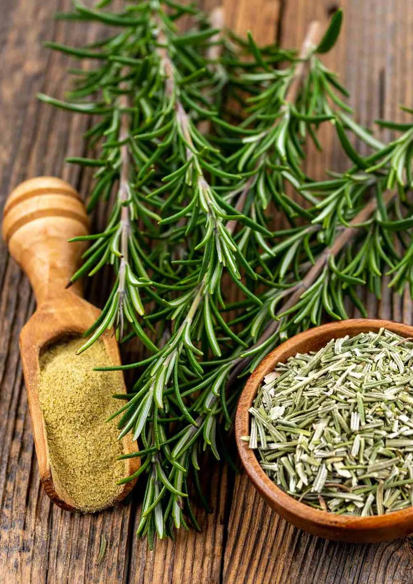 How to Dry Rosemary, Step by Step