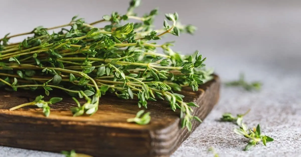 The Best Ways to Dry Thyme