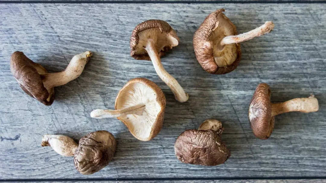 Why Mushrooms Improve in Quality After Theyre Dried