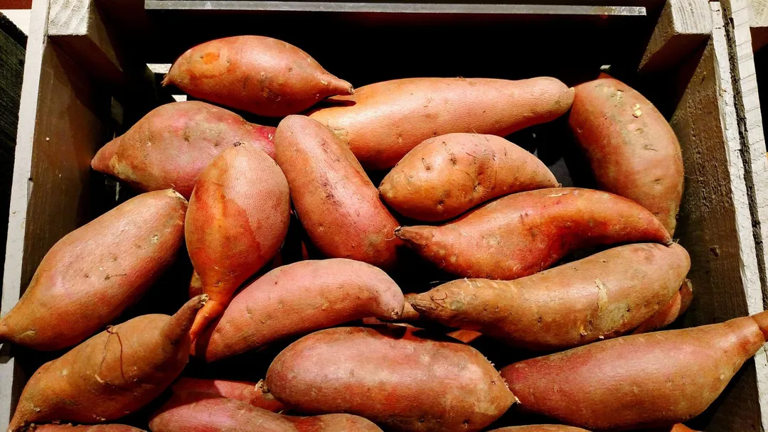Why You Should Cure Your Sweet Potatoes