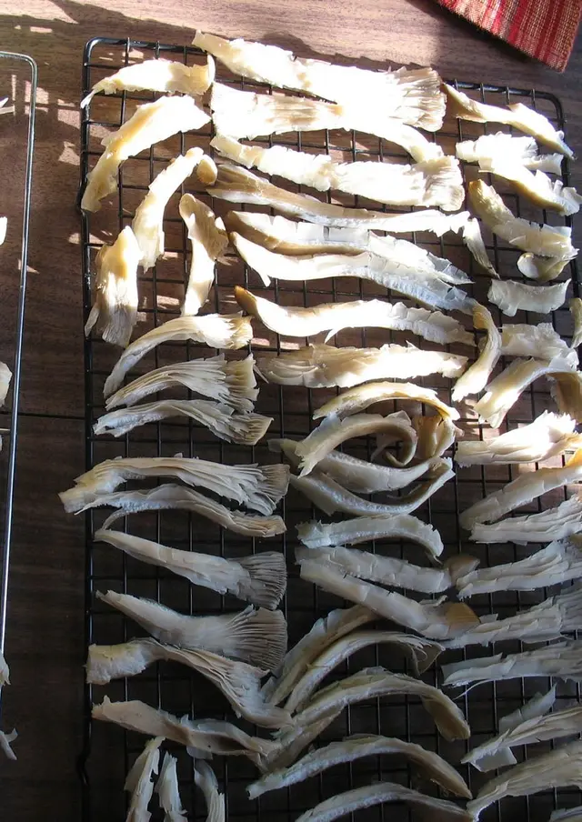how to air dry mushrooms