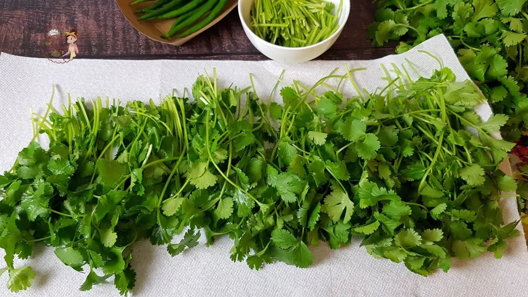 How to Dry Cilantro in the Oven