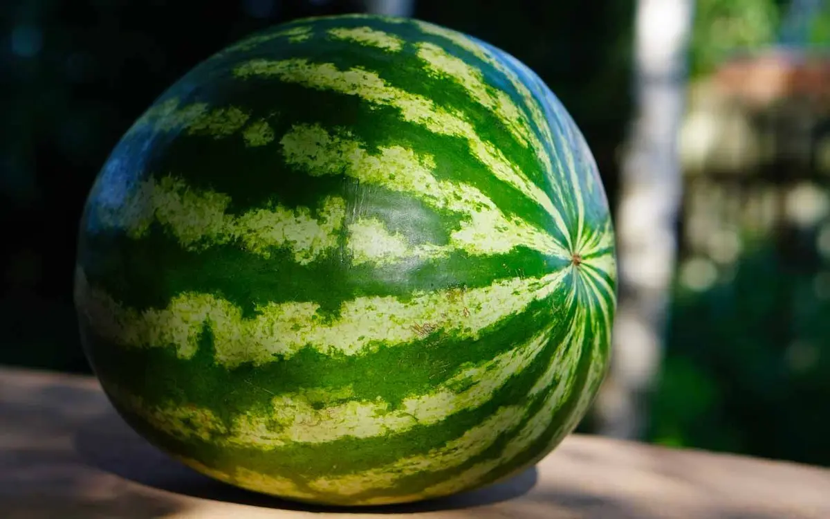 Is It Easy to Cut a Watermelon