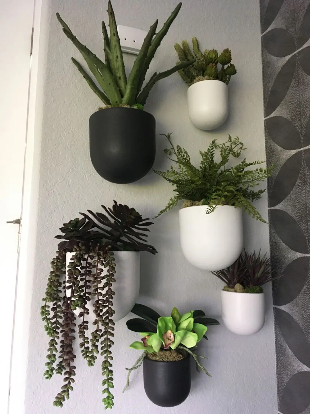 Planting Pots Small Apartment Living Room Ideas