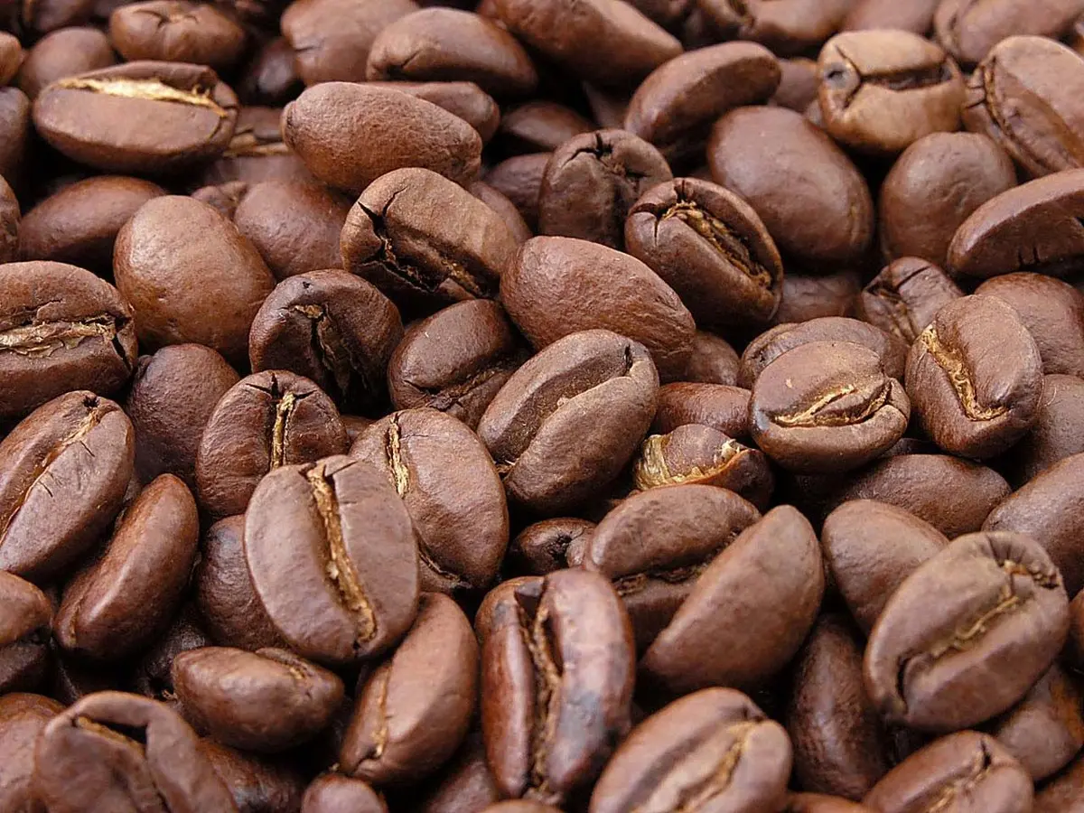 Pre-Ground vs. Fresh Ground in Coffee Maker